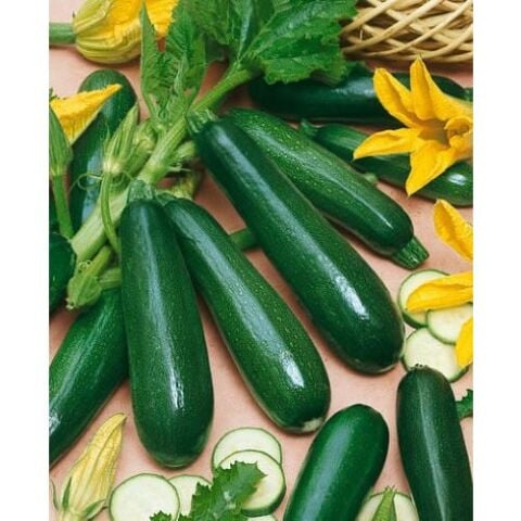 Yerli Siyah Sakız Kabak Tohumu (Kolsuz) - 10 Gr (Ort 75 Ad)