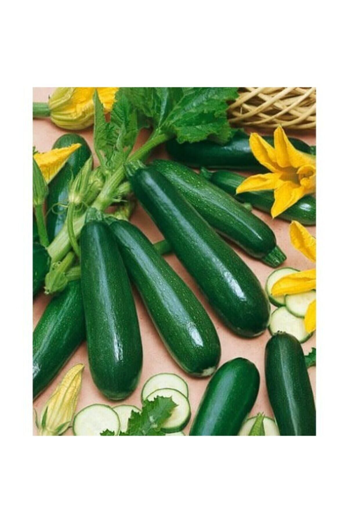 Karahasanoğlu Tarım Yerli Siyah Dolma Kabak Tohumu (kolsuz) - 10 Gr (ort 75 Ad)