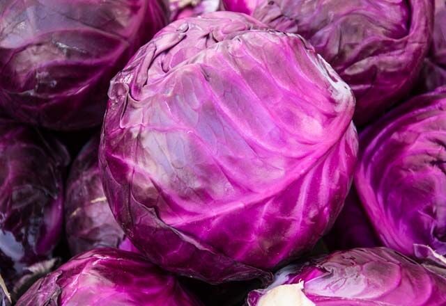 Yerli Kırmızı Mor Lahana Tohumu 10 Gr (Ort 2000 Ad Tohum)