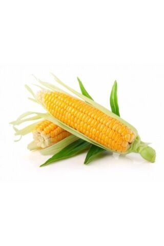 Karahasanoğlu Tarım Yerli Iri Tane Mısır Tohumu 50 gr