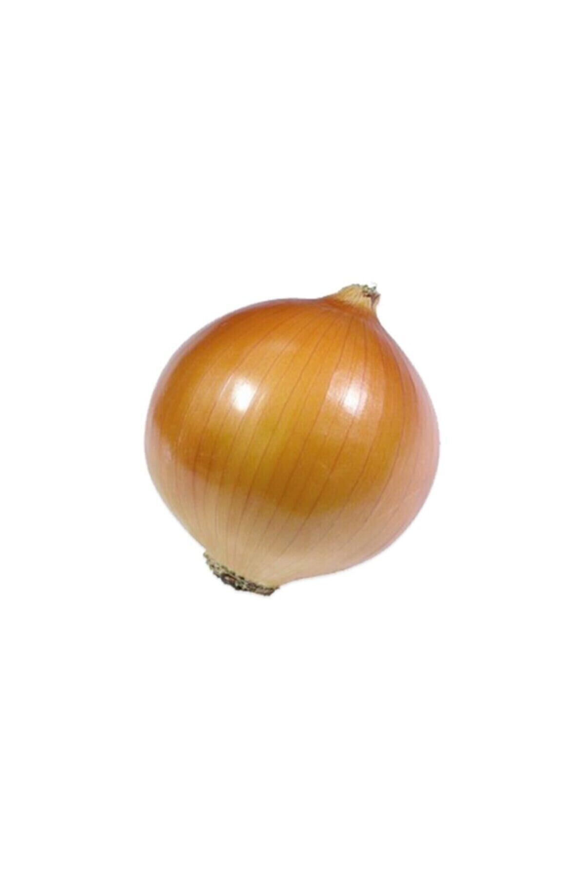 Karahasanoğlu Tarım Yerli Sarı Soğan Tohumu - 10 Gr (ort 2500 Ad Tohum)