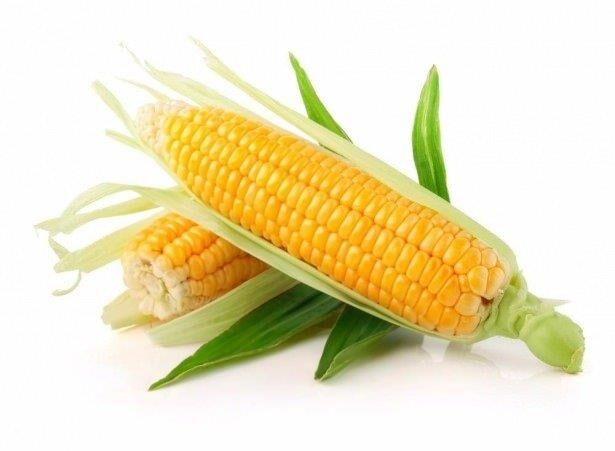 Yerli Ata Tohumu Mısır 25 Gr
