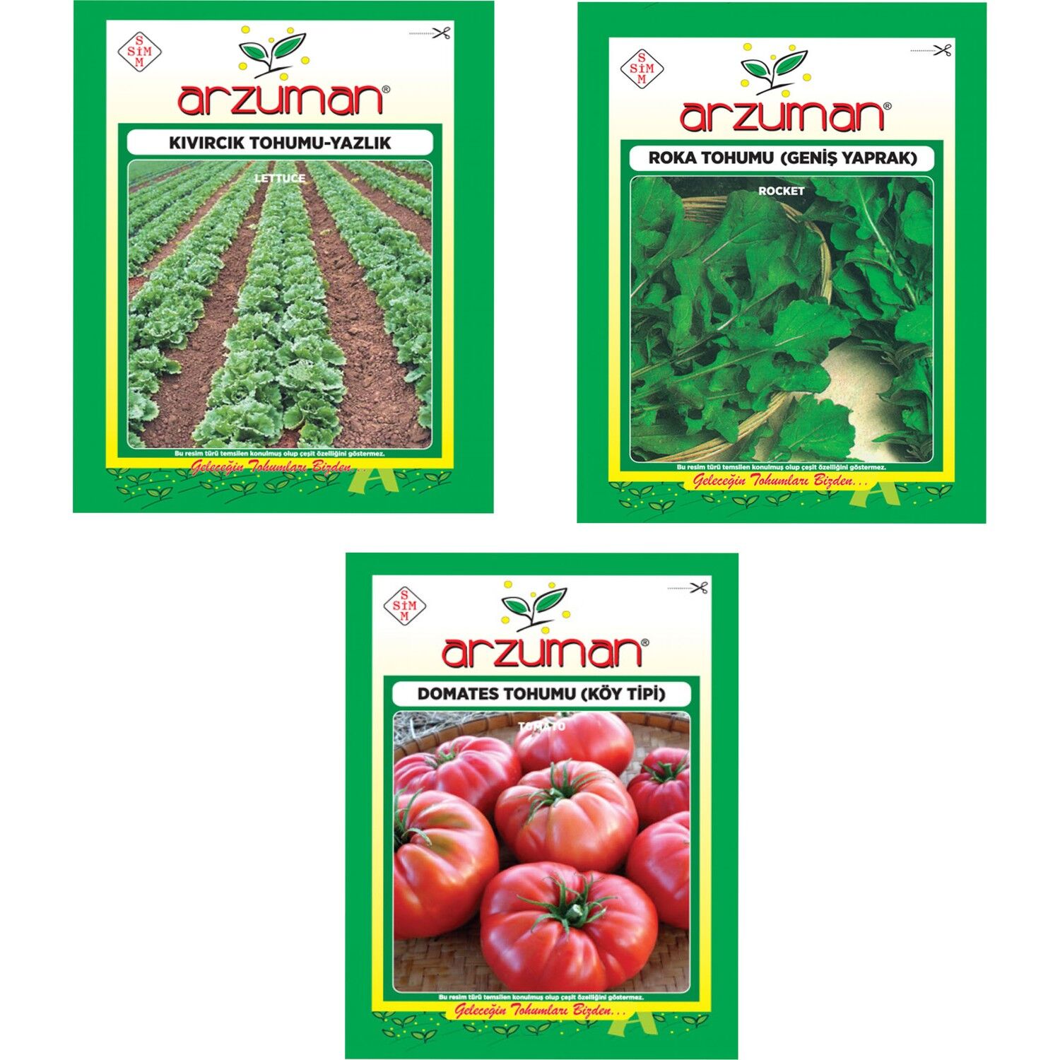 YAZLIK KIVIRCIK MARUL - ROKA - KÖY TİPİ DOMATES 3'LÜ TOHUM SETİ