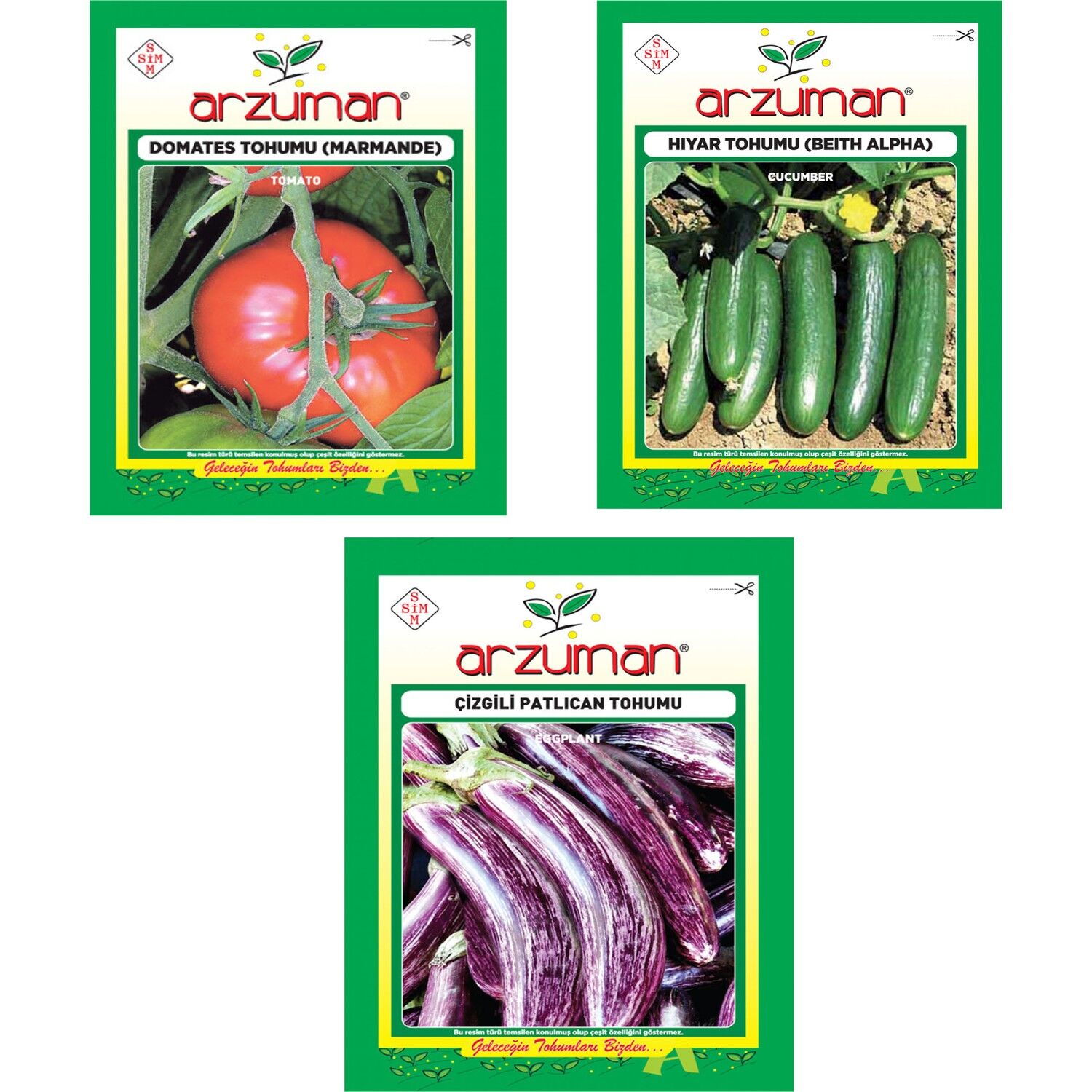 MARMANDE DOMATES - BEİTH ALPHA SALATALIK - ÇİZGİLİ PATLICAN 3'LÜ TOHUM SETİ
