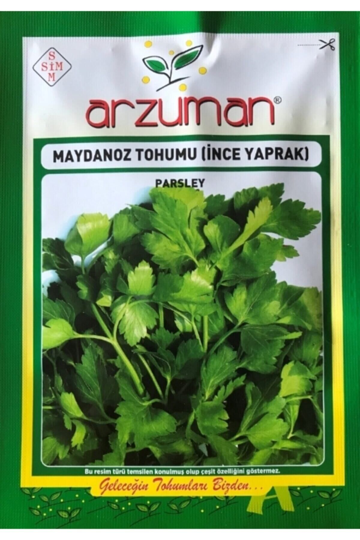 Karahasanoğlu Tarım Ince Maydanoz Tohumu 25 Gr Ort 10000 Adet Tohum