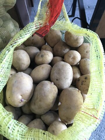 MELODİ SERTİFİKALI TOHUMLUK PATATES 5 KG