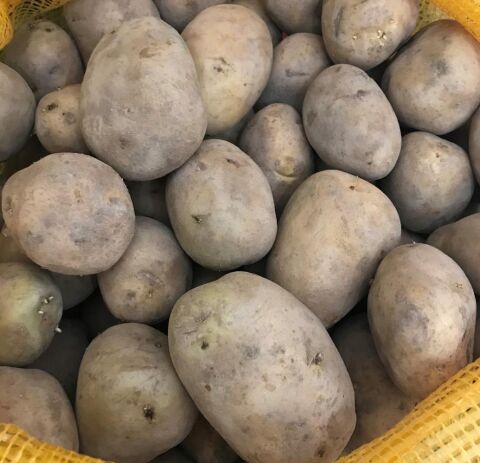 MELODİ SERTİFİKALI TOHUMLUK PATATES 5 KG