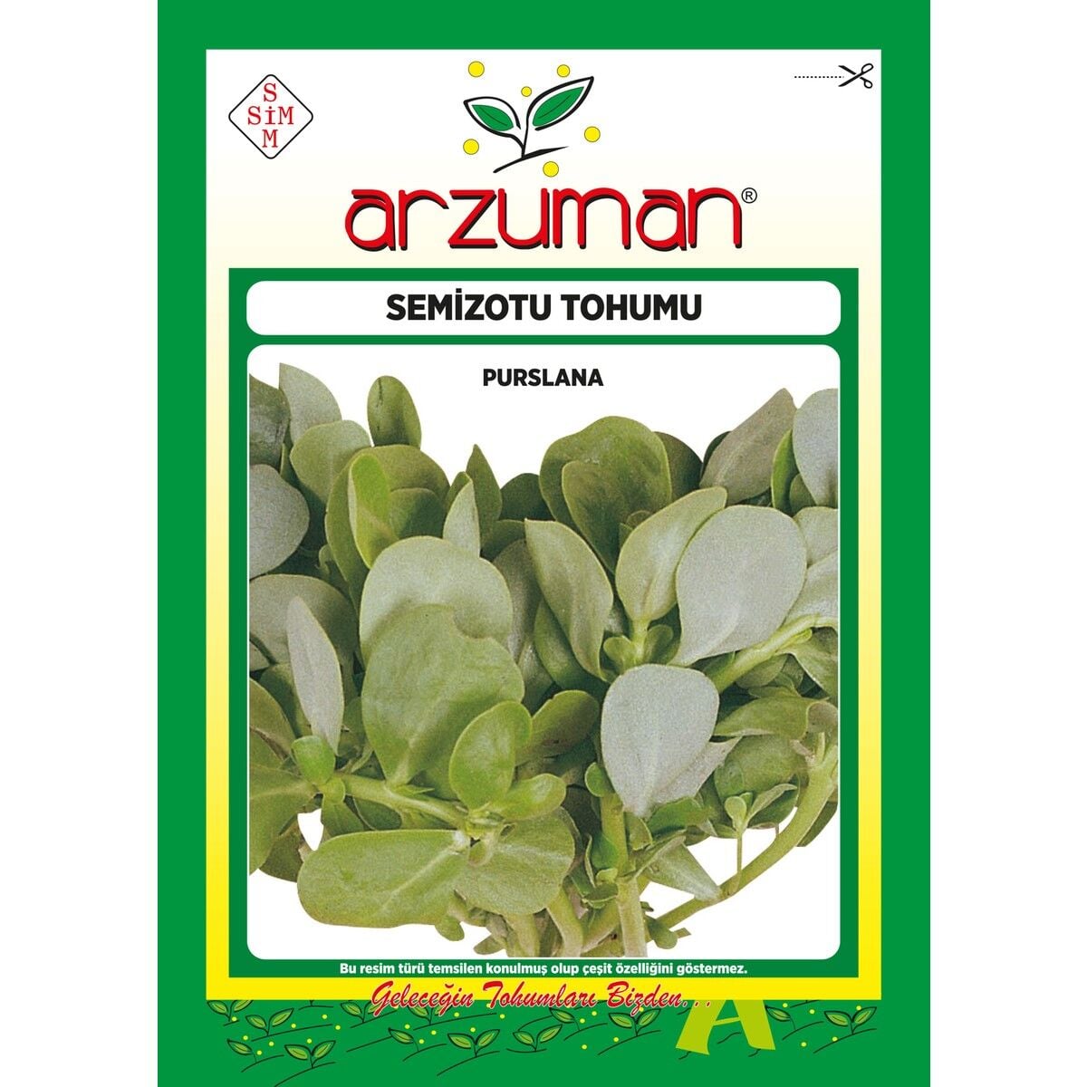 Yeşim Semizotu Tohumu 10 Gram