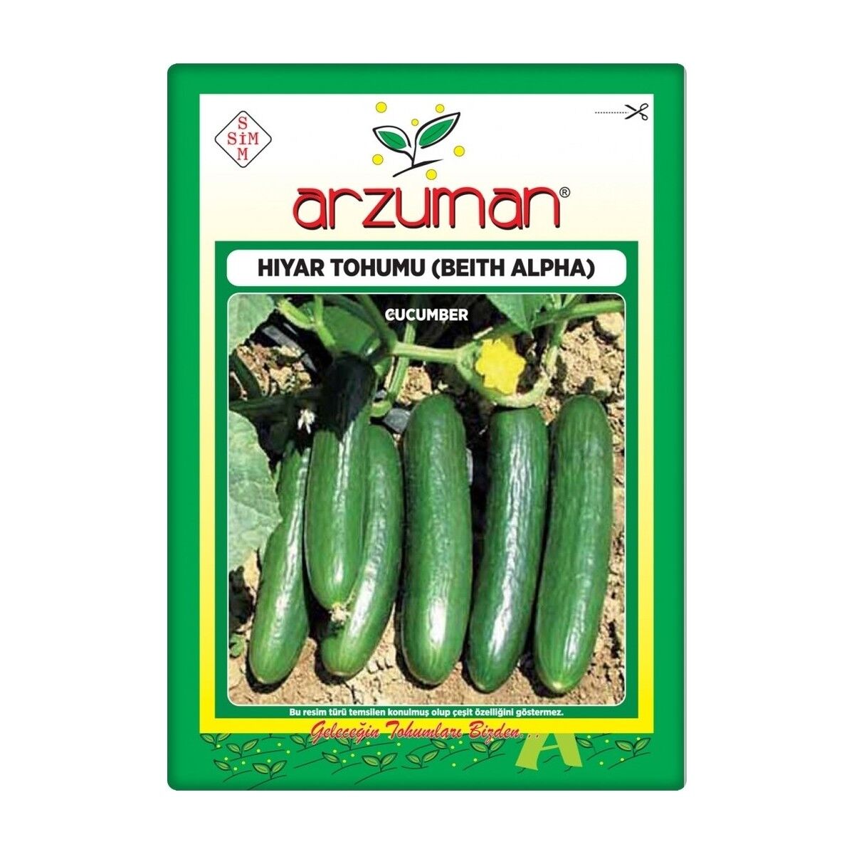Salatalık Tohumu 10 Gr Beith Alpha Tipi Oturak