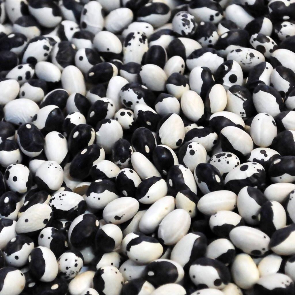 YERLİ AYŞE KADIN SIRIK FASULYE TOHUMU 500 GR (SİYAH LEKELİ)