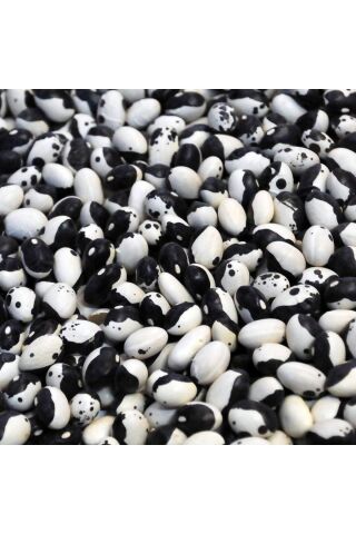 Karahasanoğlu Tarım Yerli Ayşe Kadın Sırık Fasulye Tohumu 500 Gr (siyah Lekeli)