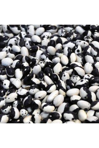 Karahasanoğlu Tarım Yerli Ayşe Kadın Sırık Fasulye Tohumu 500 Gr (siyah Lekeli)