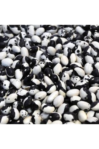 Karahasanoğlu Tarım Yerli Ayşe Kadın Sırık Fasulye Tohumu 500 Gr (siyah Lekeli)