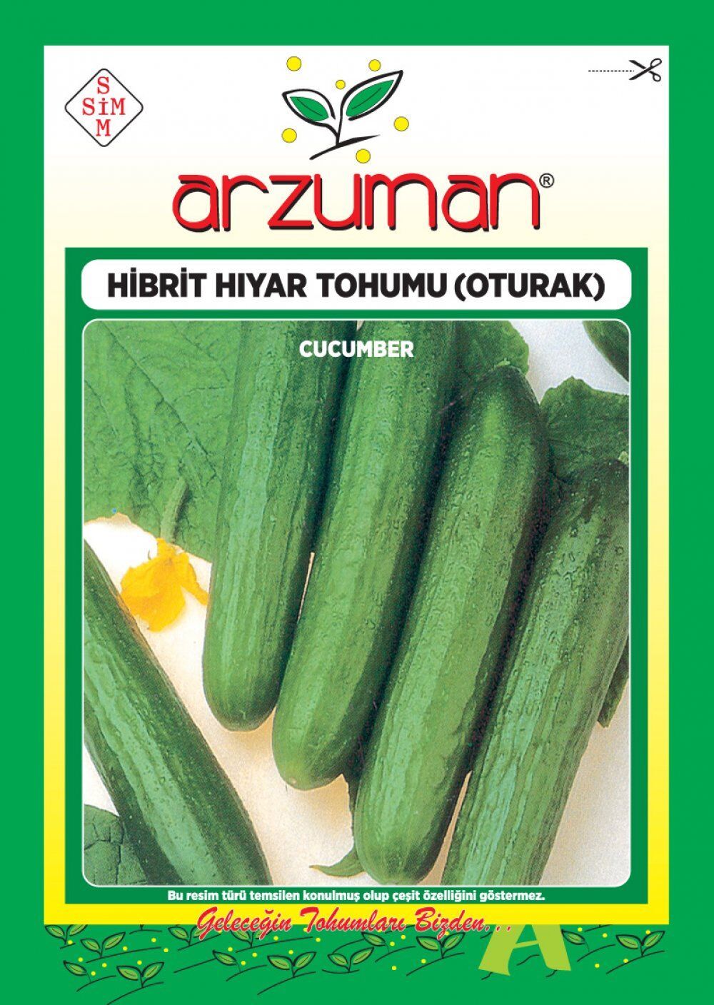 ANADOLU F1 OTURAK SALATALIK TOHUMU 100 AD TOHUM