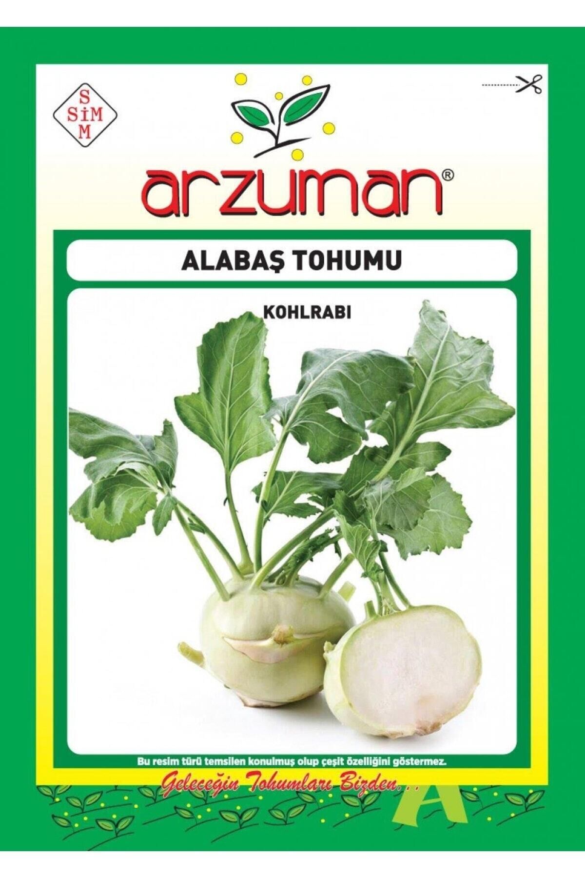 Karahasanoğlu Tarım Beyaz Alabaş Tohumu 200 Adet Tohum