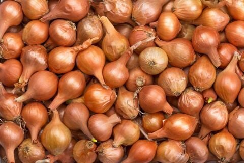 Yerli Arpacık Soğan Kıska 6 Numara 10 Kg