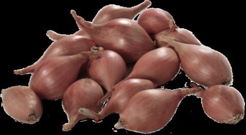 YERLİ ARPACIK SOĞAN 3 NUMARA (500 GR)