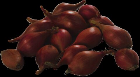 YERLİ ARPACIK SOĞAN 3 NUMARA (500 GR)