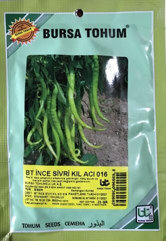 BİBER TOHUMU İNCE SİVRİ KIL ACI (25 GR 3000 ADET TOHUM)