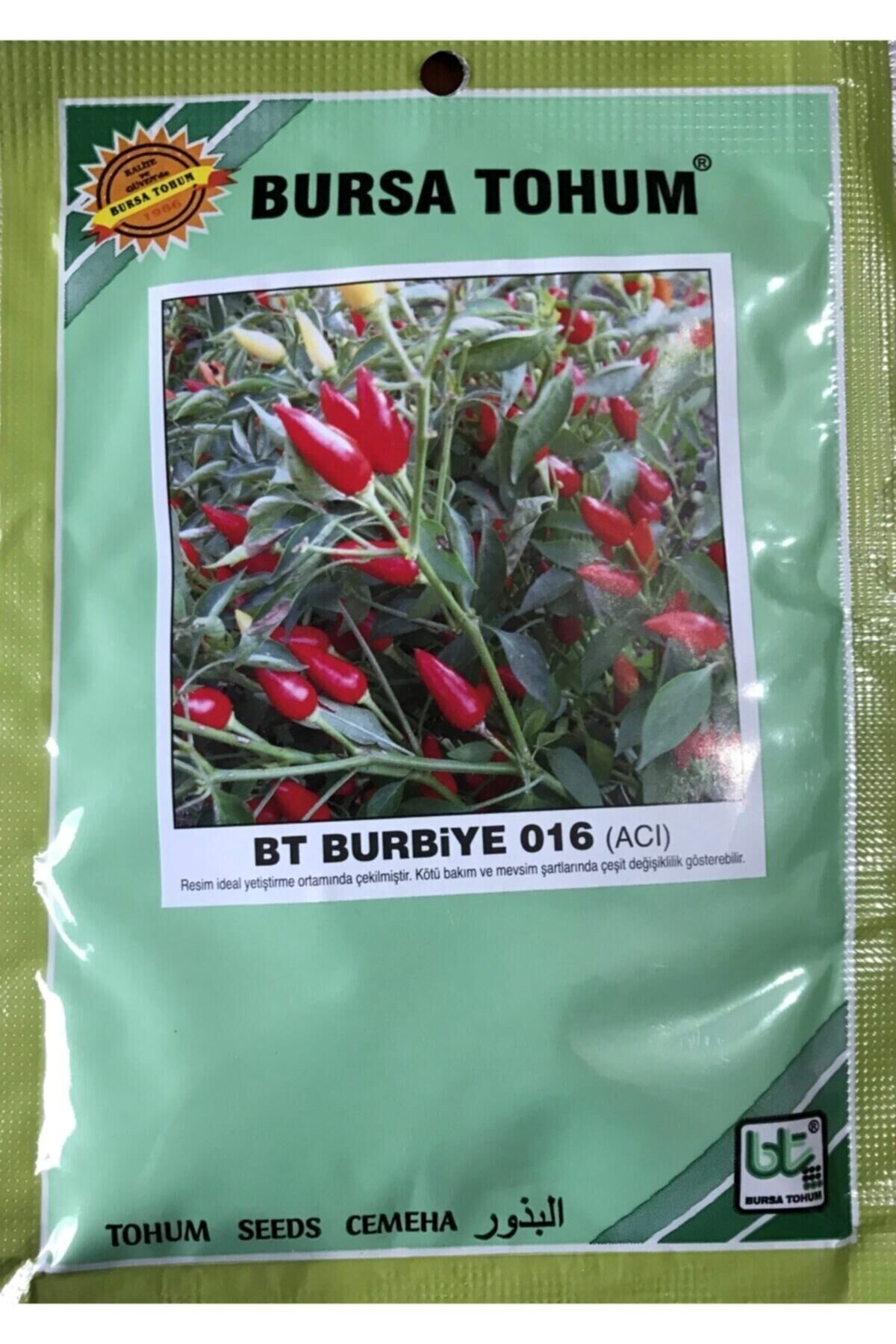 Bursa Tohumculuk Biber Tohumu Burbiye (süs Biberi Oval Acı) 25 Gr Ort 3000 Adet