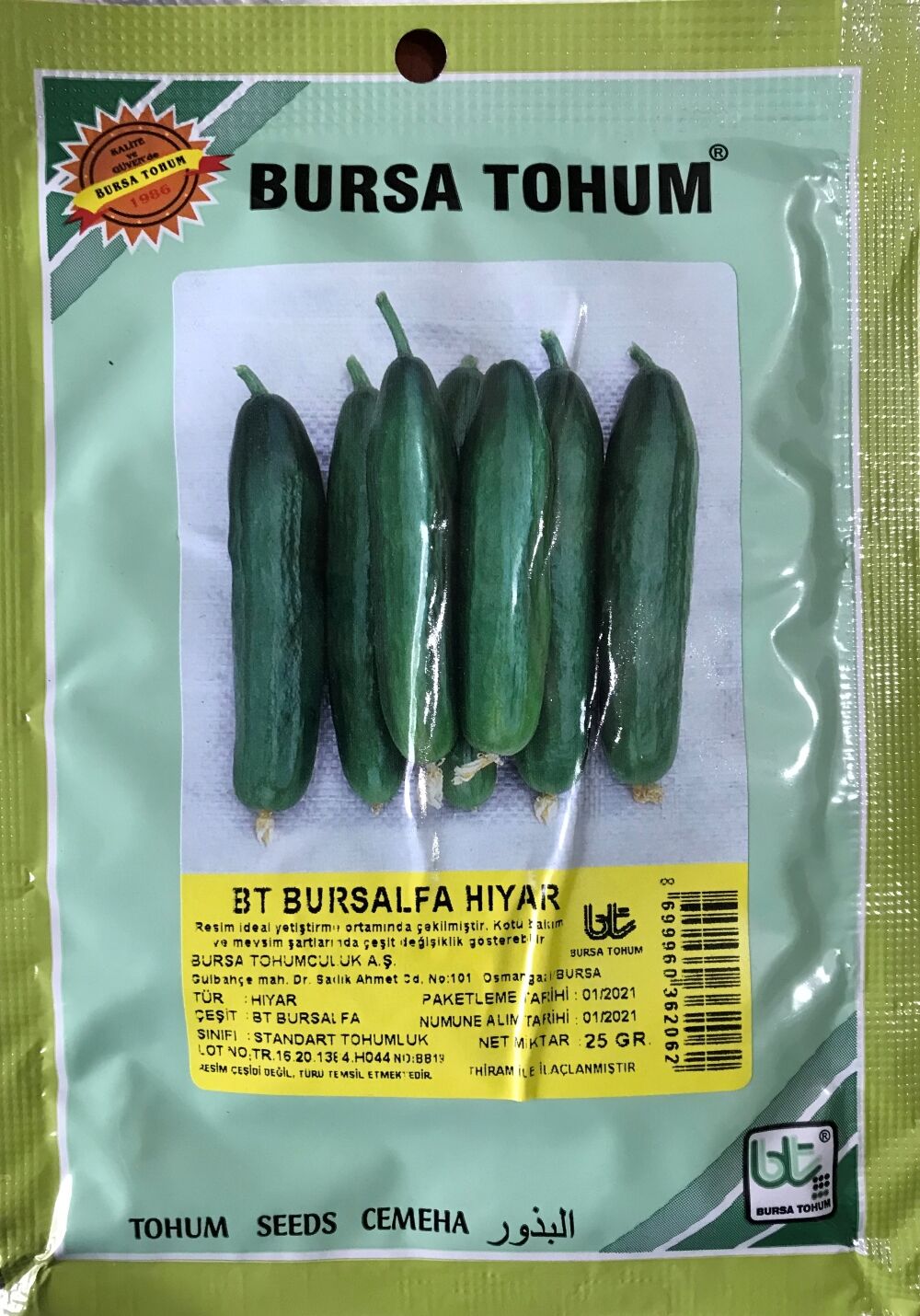 SALATALIK TOHUMU BURSALFA (25 GR 500 ADET TOHUM)