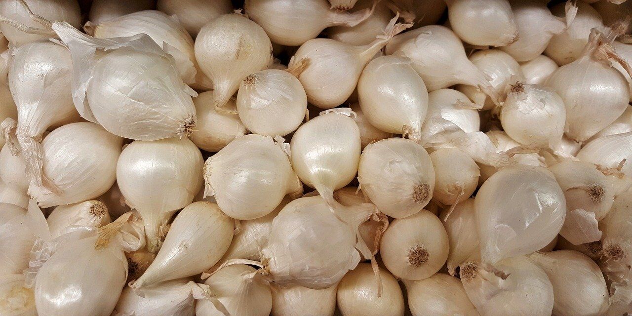 YERLİ BEYAZ (GÜMÜŞ) ARPACIK SOĞAN 3 NUMARA (1000 GR)