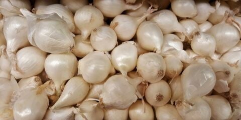 YERLİ BEYAZ (GÜMÜŞ) ARPACIK SOĞAN 3 NUMARA (1000 GR)