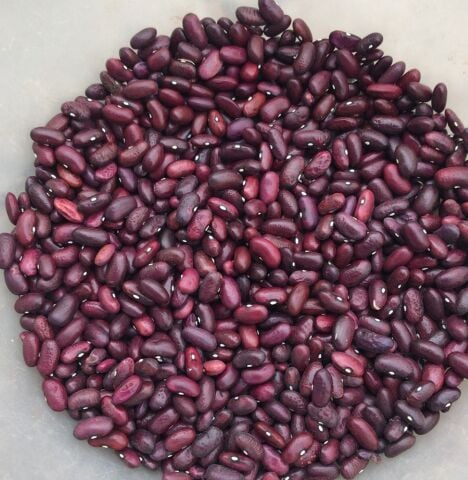 YERLİ TOKAT KIZILI SIRIK FASULYE TOHUMU 100 GR