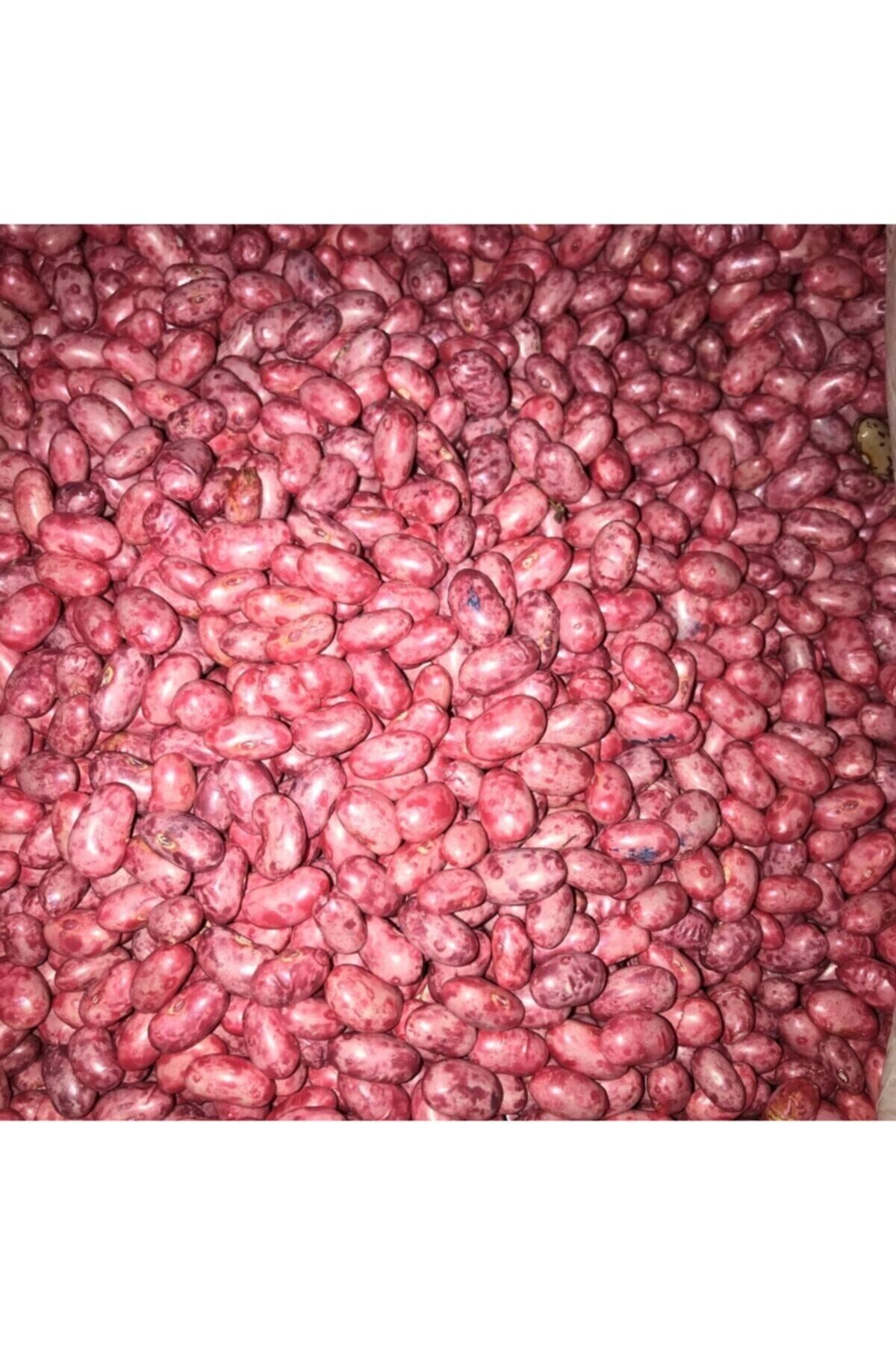 Karahasanoğlu Tarım Gina Oturak Fasulye Tohumu 100 gr