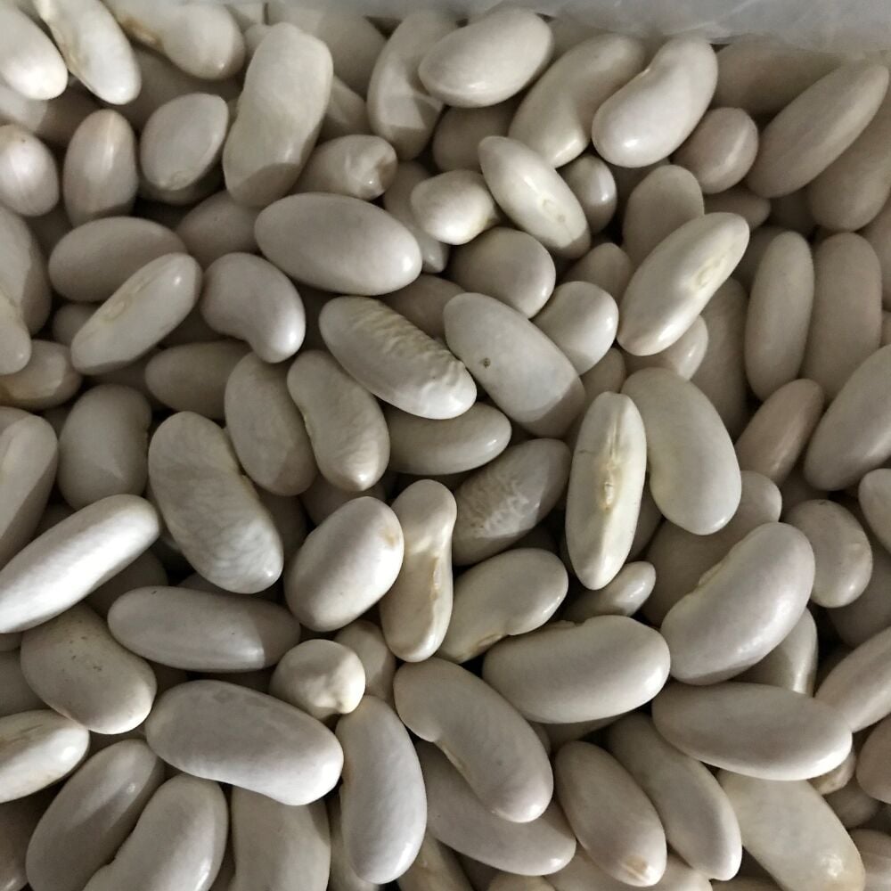 YERLİ BEYAZ OTURAK FASULYE ( HOROZ FASULYESİ ) 500 GR