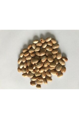Karahasanoğlu Tarım Yerli Ayşe Kadın Fasulye Tohumu 500 Gr (krem-beyaz)