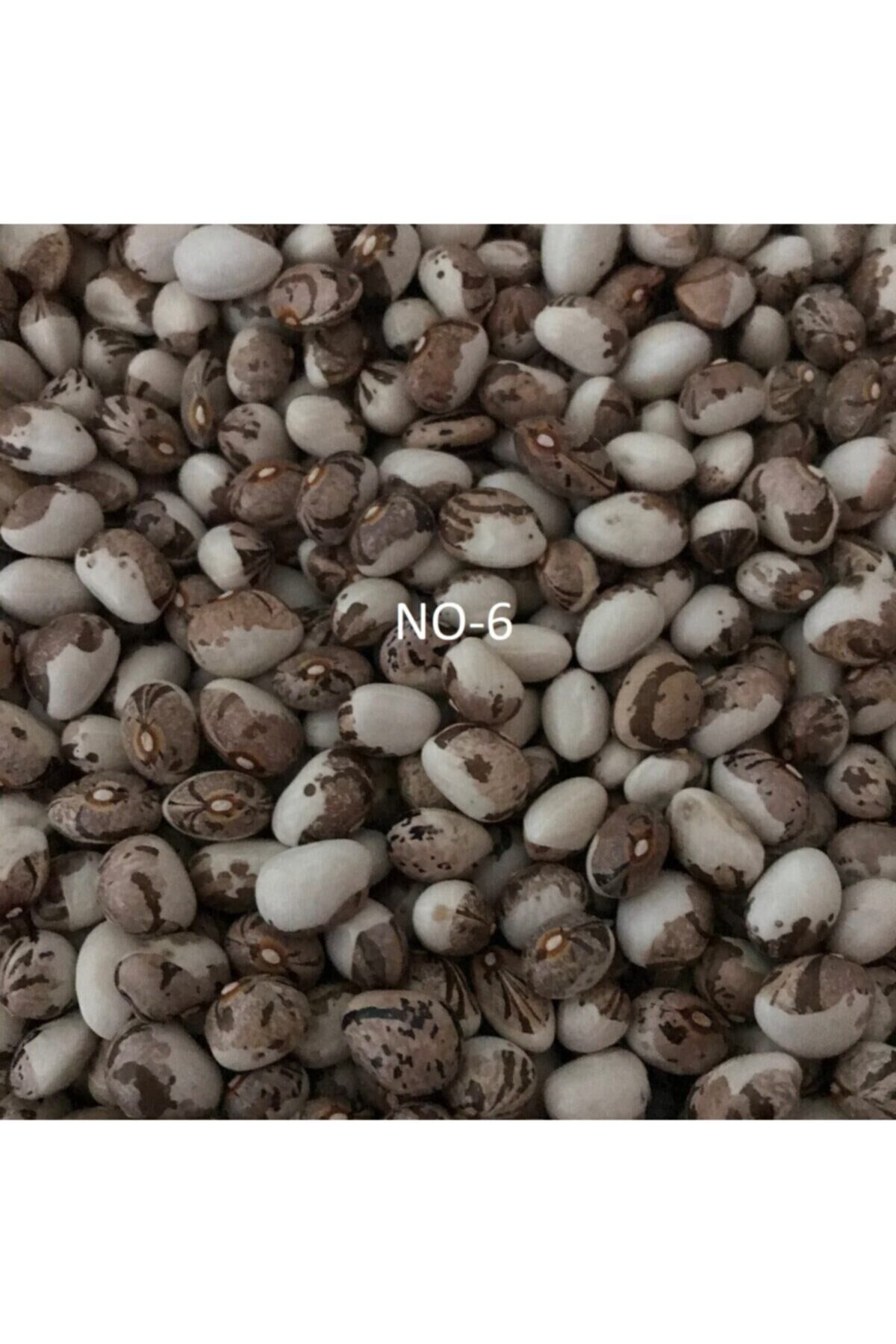 Karahasanoğlu Tarım Yerli Sırık Ayşe Kadın Fasulye Tohumu 500 Gr (kahve Çizgili Beyaz)