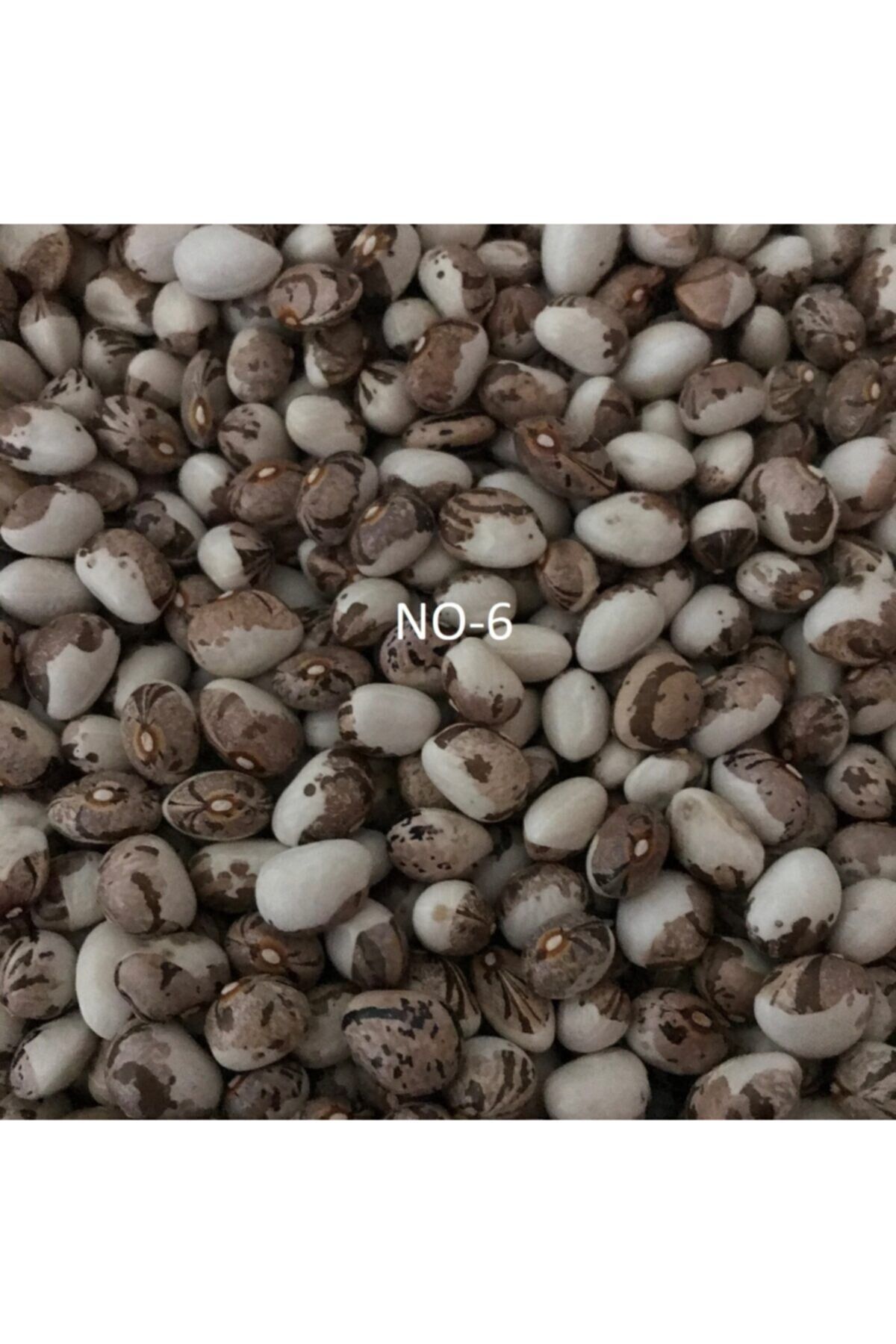 Karahasanoğlu Tarım Yerli Sırık Ayşe Kadın Fasulye Tohumu 500 Gr (kahve Çizgili Beyaz)