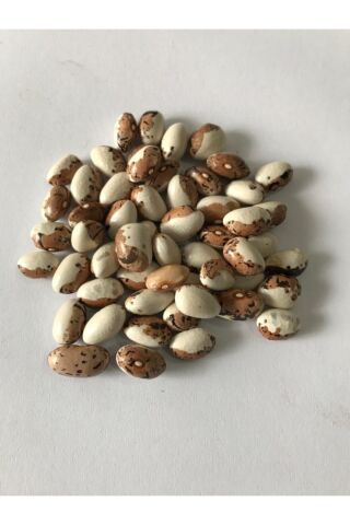 Karahasanoğlu Tarım Yerli Sırık Ayşe Kadın Fasulye Tohumu 500 Gr (kahve Çizgili Beyaz)
