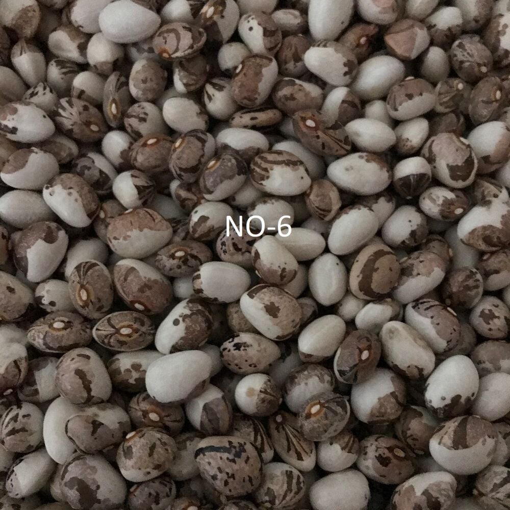 YERLİ AYŞE KADIN SIRIK FASULYE TOHUMU 500 GR (KAHVE ÇİZGİLİ BEYAZ)