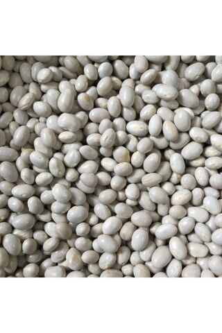 Karahasanoğlu Tarım Yerli Sırık Şeker Fasulye Tohumu 500 Gr