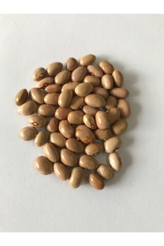 Karahasanoğlu Tarım Yerli Sırık Ayşe Kadın Fasulye Tohumu 500 Gr (krem)