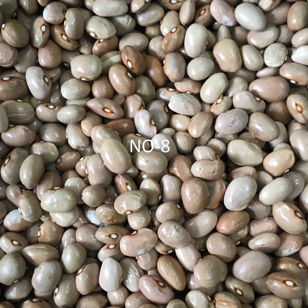 YERLİ AYŞE KADIN SIRIK FASULYE TOHUMU 500 GR (KREM)