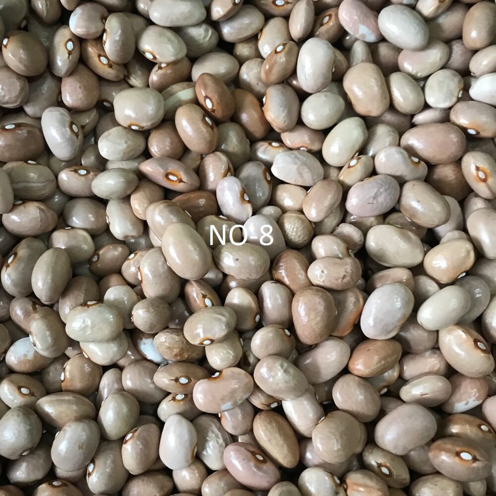 YERLİ AYŞE KADIN SIRIK FASULYE TOHUMU 500 GR (KREM)