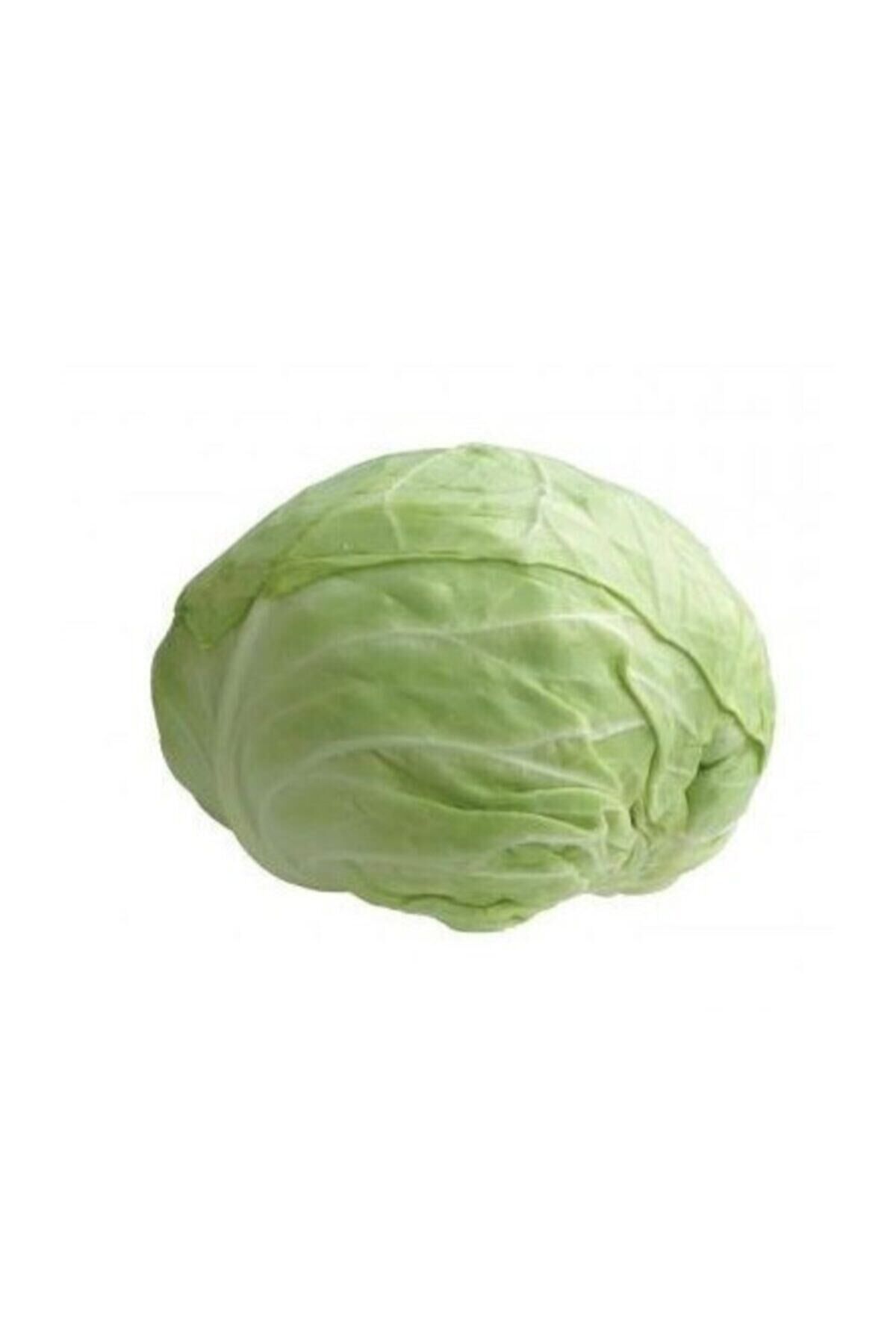 Karahasanoğlu Tarım Yerli Dolmalık Beyaz Top Lahanası Tohumu 10 Gr (ort 2000 Ad)