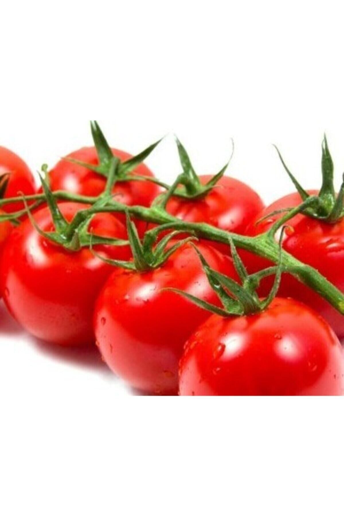 Karahasanoğlu Tarım Yerli Cherry Domates Tohumu 1 Gr (ort 400 Ad Tohum)
