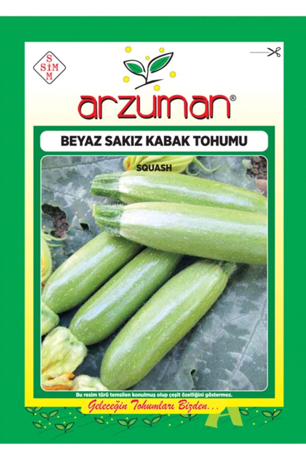 Karahasanoğlu Tarım Beyaz Sakız Kabak Tohumu 10 Gr Ort 75 Ad Tohum