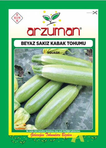 BEYAZ SAKIZ KABAK TOHUMU 10 GR ORT 75 AD TOHUM