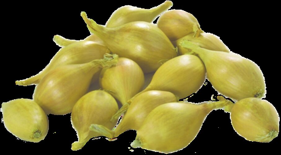 YERLİ ARPACIK SOĞAN 6 NUMARA (1 KG)