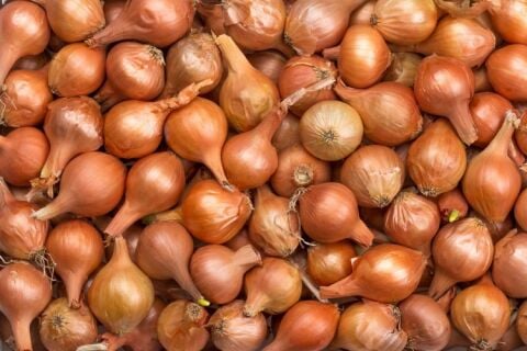 YERLİ ARPACIK SOĞAN 6 NUMARA (500 GR)