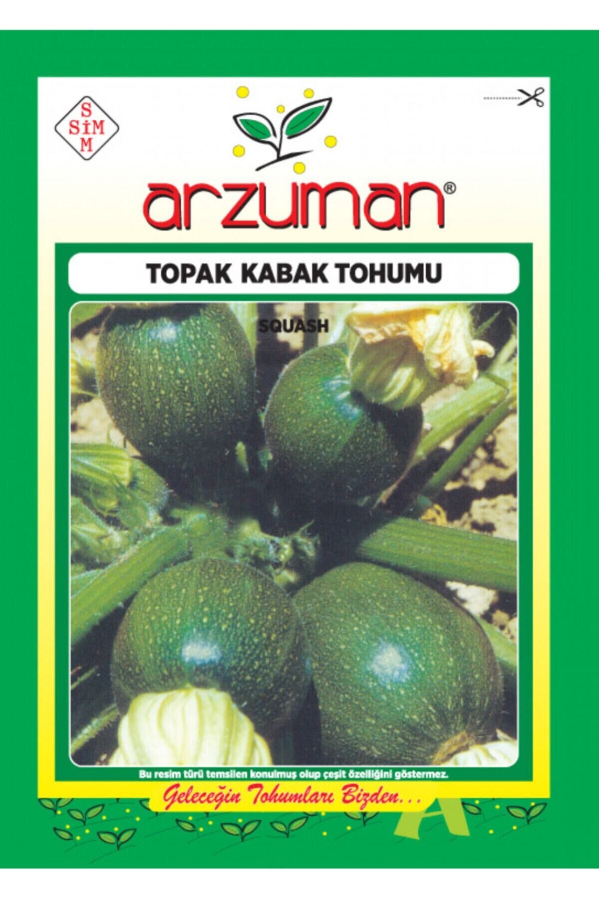Karahasanoğlu Tarım Siyah Topak Kabak Tohumu 10 Gr Ort 75 Ad Tohum