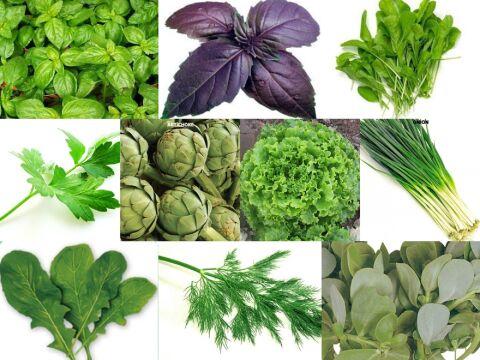 YERLİ 10 ÇEŞİT YEŞİLLİK TOHUM SETİ-3 ORT 3150 AD+GÜBRE