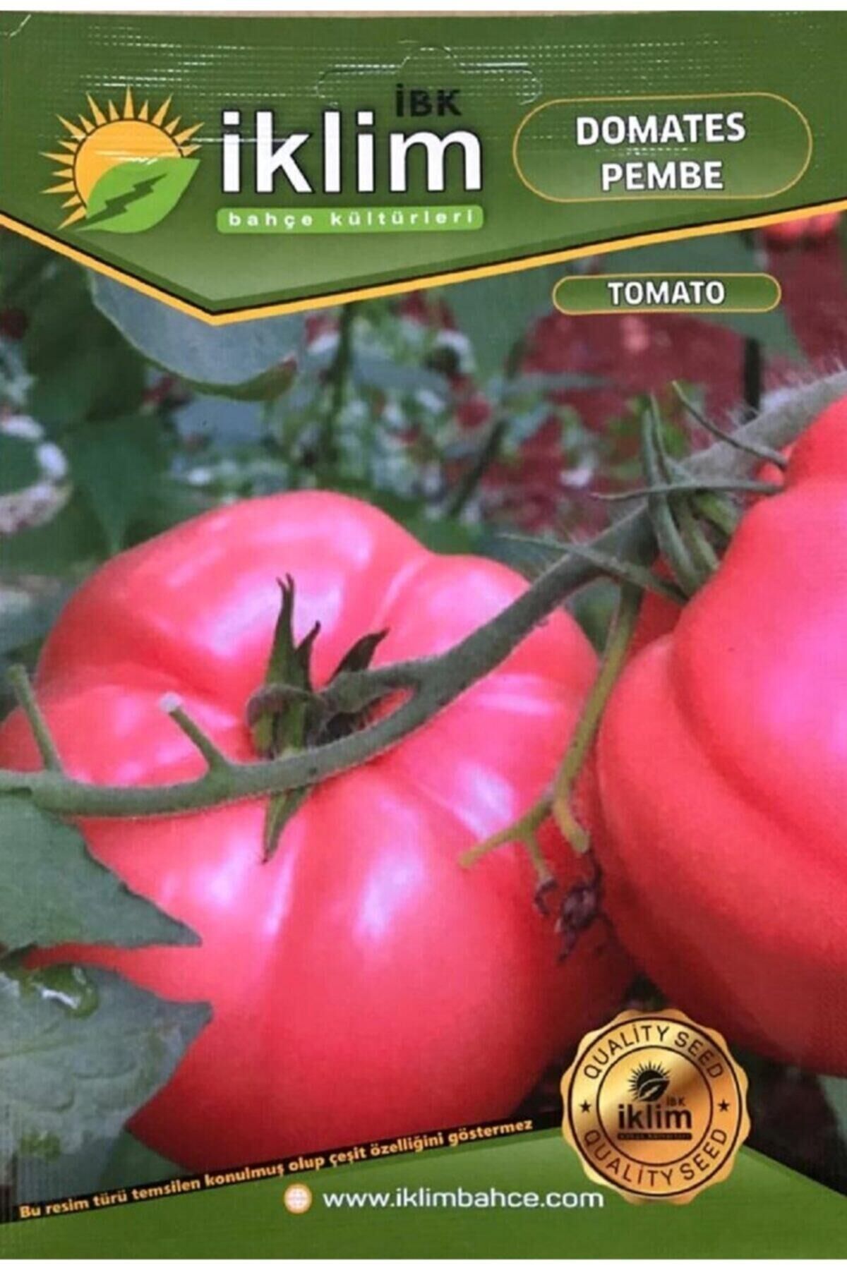 Karahasanoğlu Tarım Pembe Domates Tohumu 1 Gr Ort 400 Ad Tohum