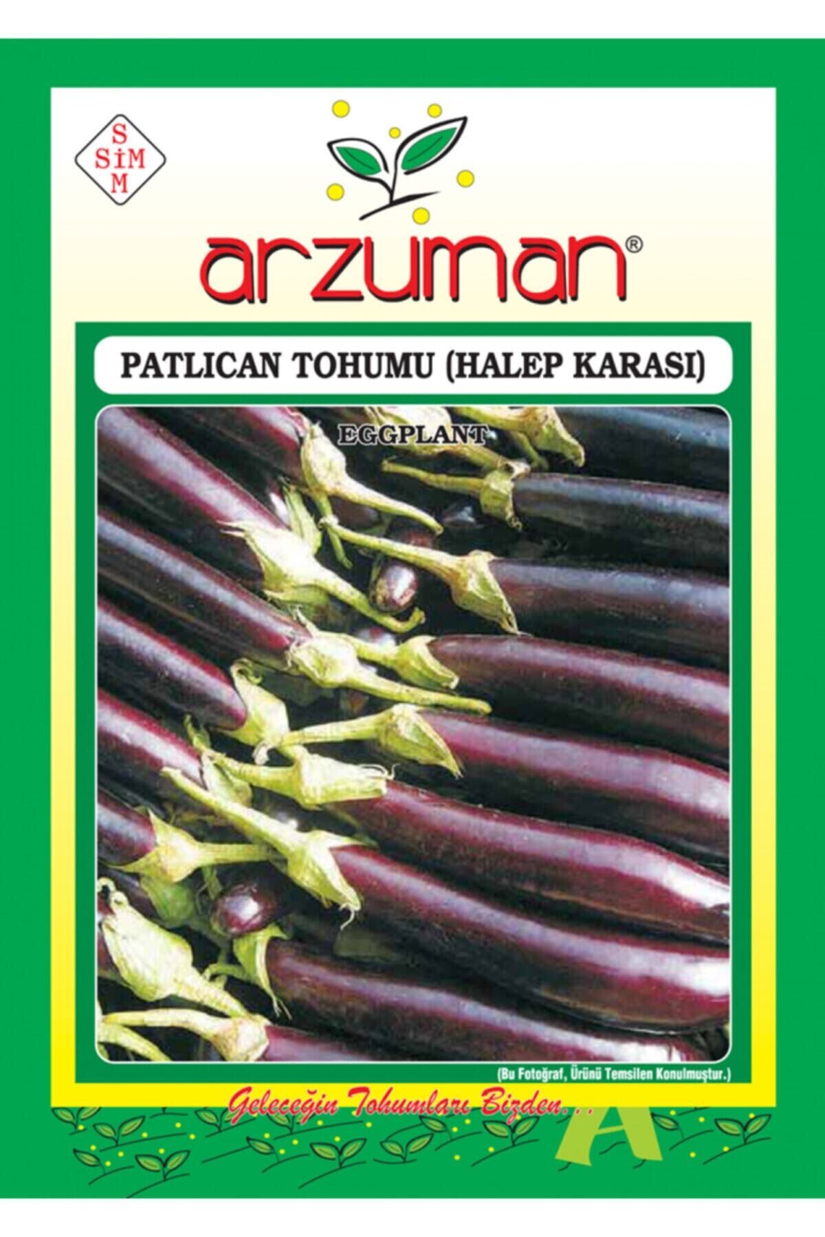 Karahasanoğlu Tarım Halep Karası Patlıcan Tohumu 10 Gr Ort 2000 Ad Tohum