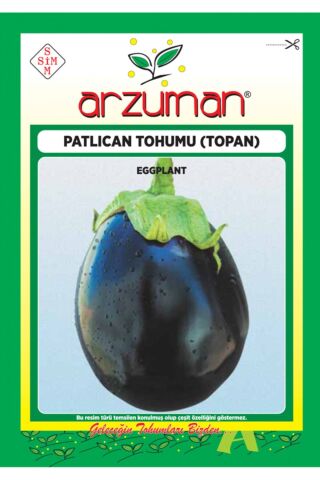 Karahasanoğlu Tarım Topan Patlıcan Tohumu 10 Gr Ort 2000 Ad Tohum